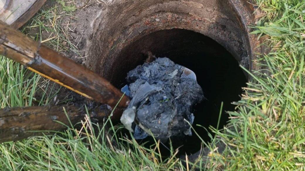    Фото: t.me/VDKSPB