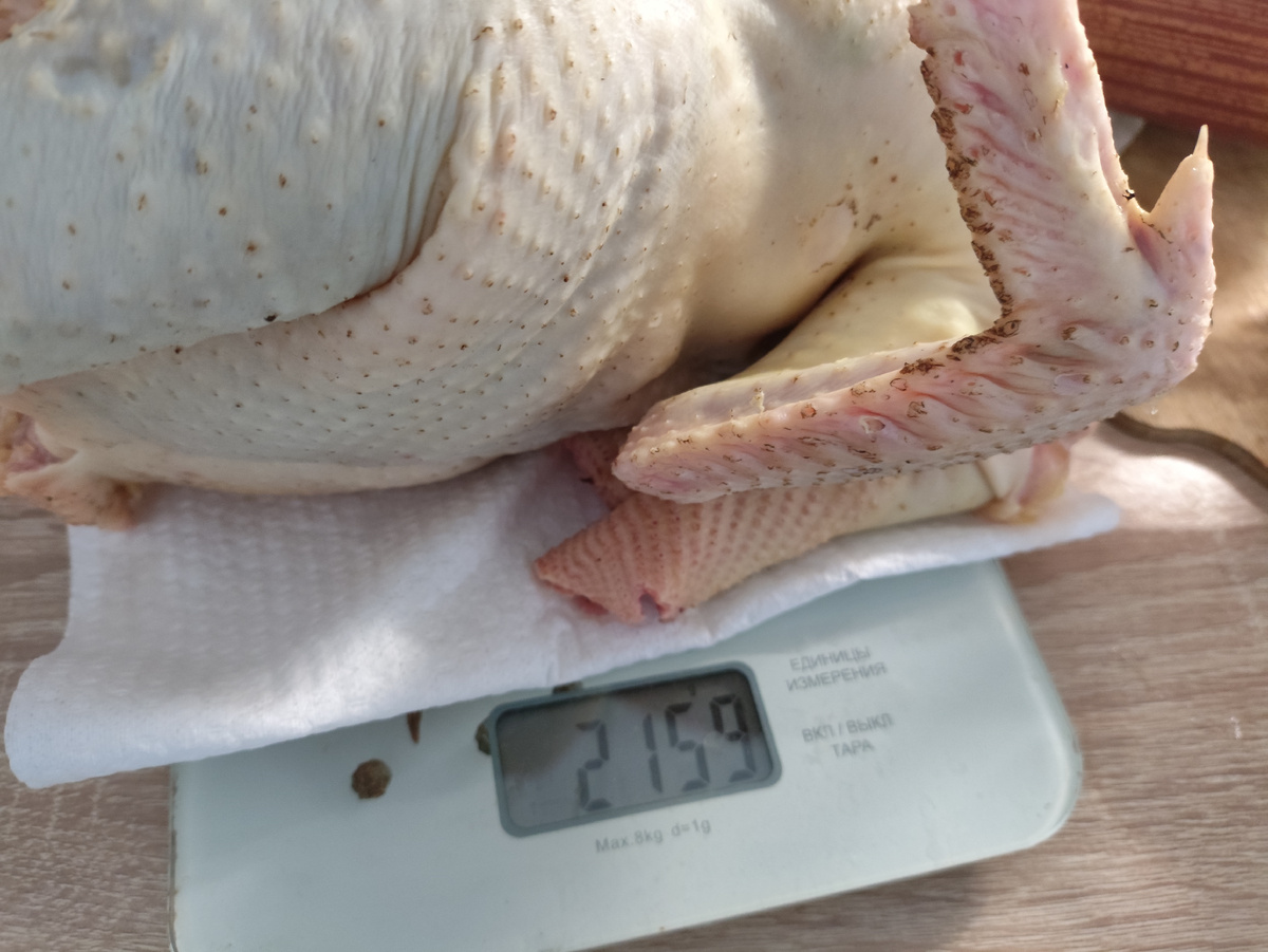 Неплохой вес для яичной породы....
