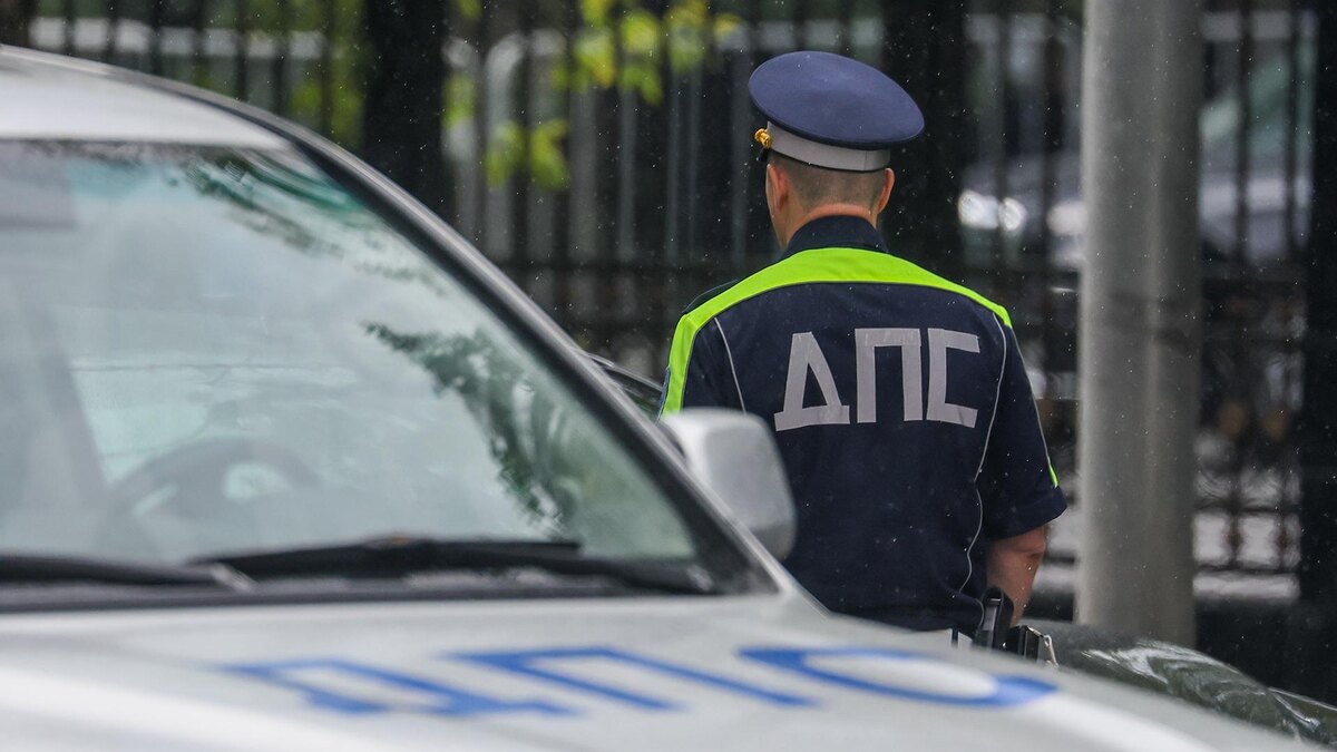    Фото: Belkin Alexey/globallookpress.com