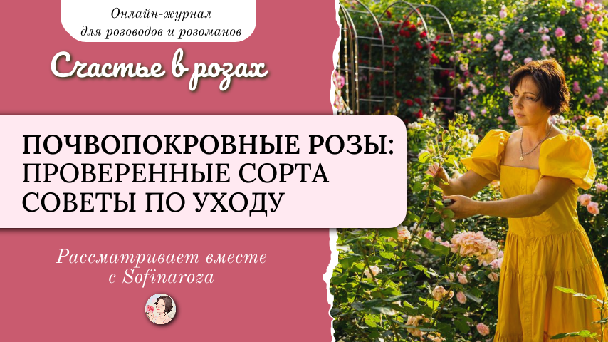 «Счастье в розах», выпуск №34, 25 июля 2025г.