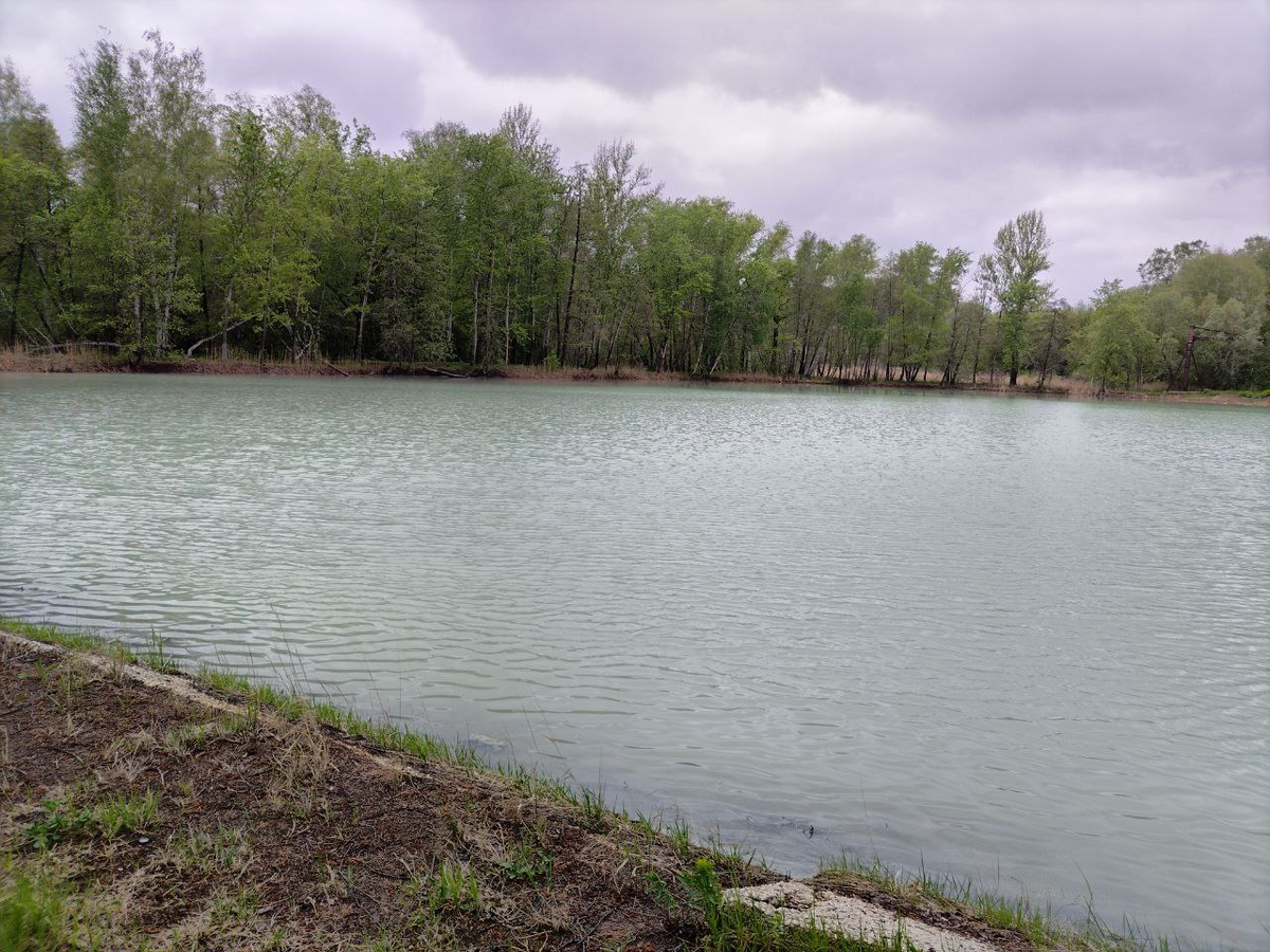 Фото автора.