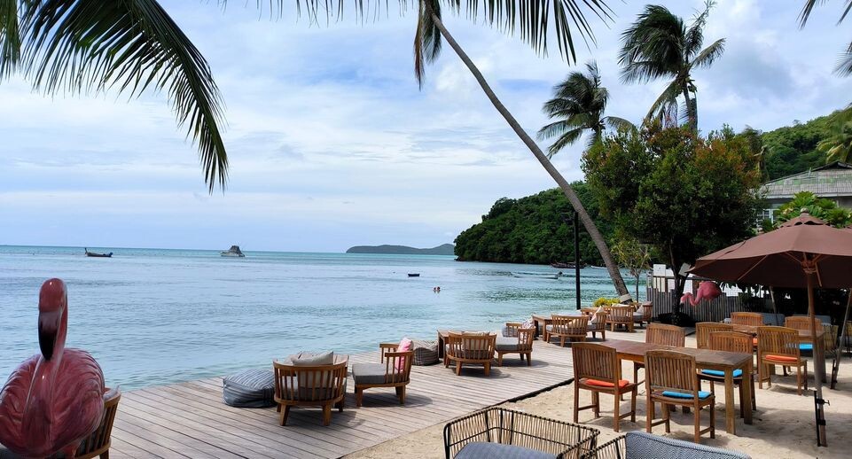    Maksim Konstantinov/Global Look Press / www.globallookpress.com