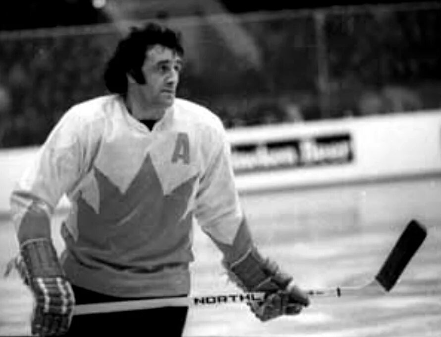 Изображение из открытых источников (Ф.Эспозито на Суперсерии-72)