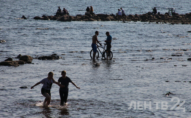    © Анастасия Илюшина / ЛенТВ24