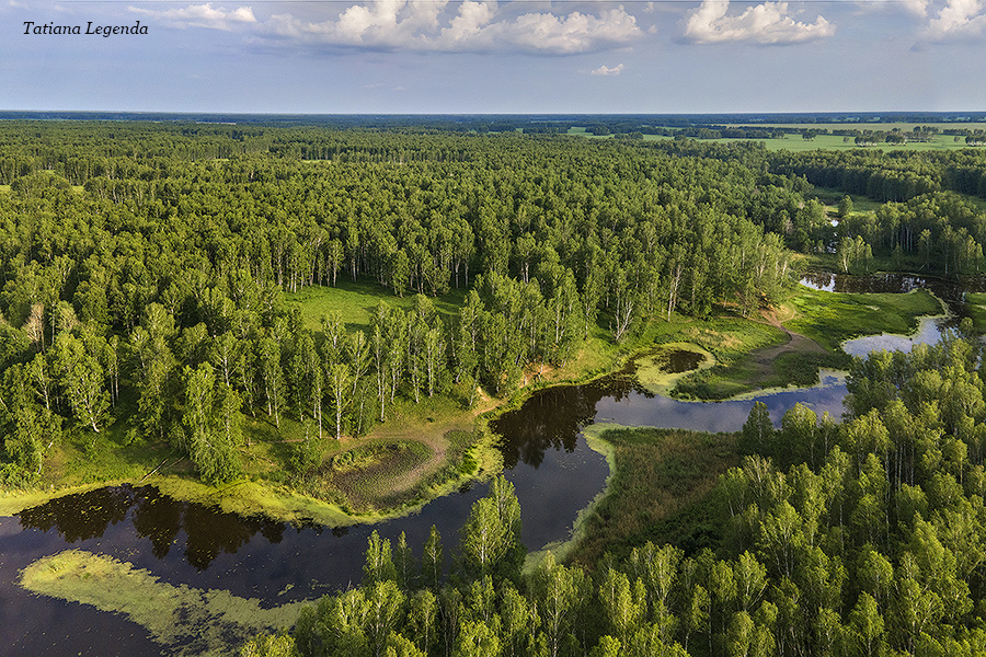 Река Артынка, Муромцевский район, Омская область. Фото: Соколова Татьяна, г. Омск