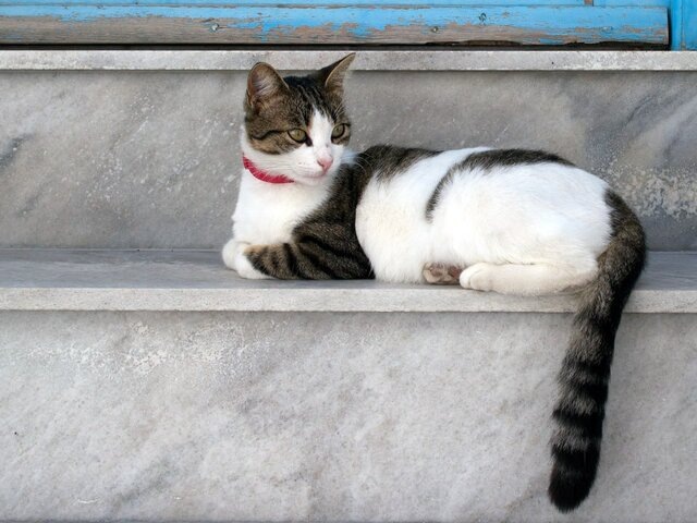    Фото: depositphotos/gdvcom