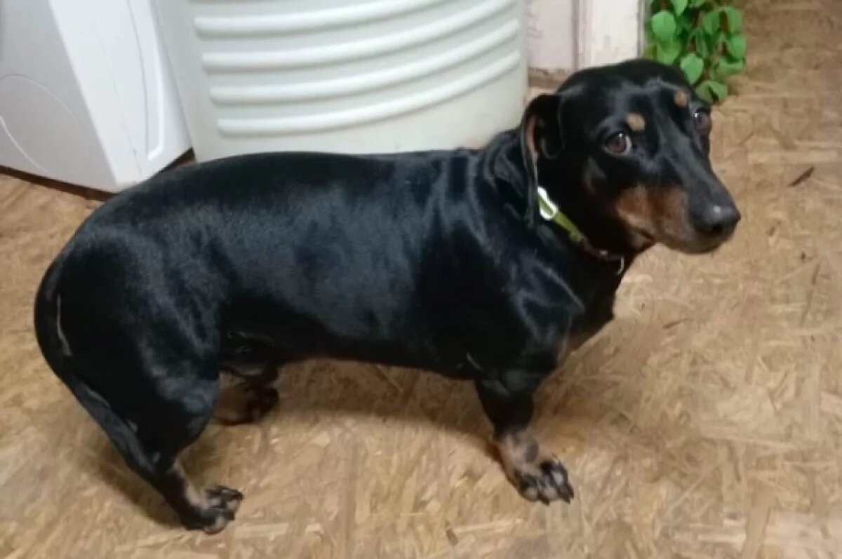    В интересах жителей.