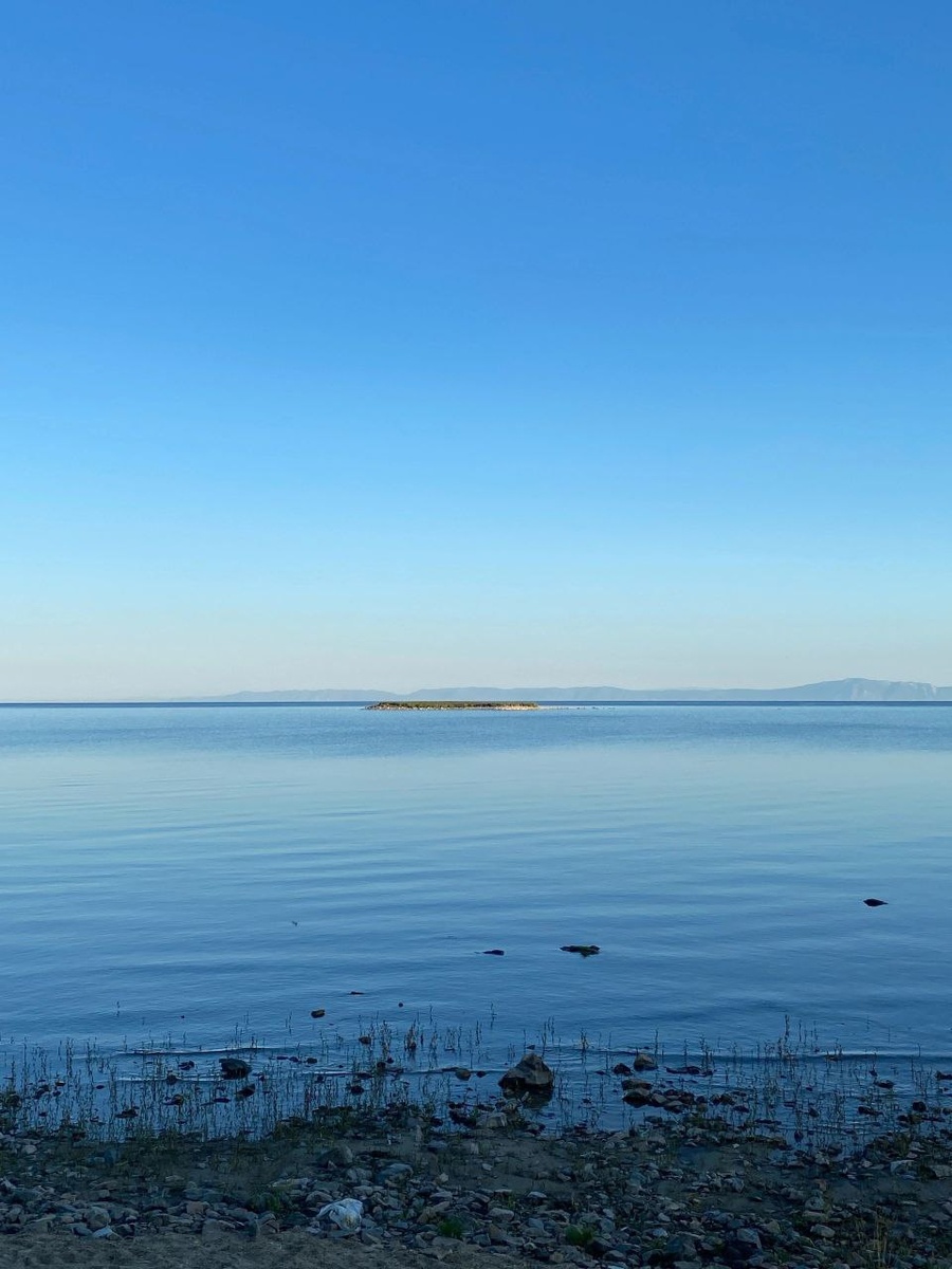 Фото автора.