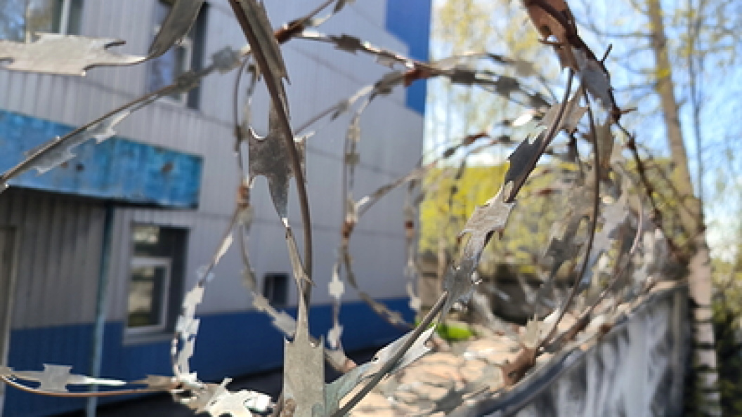    Фото: Maksim Konstantinov/Globallookpress.