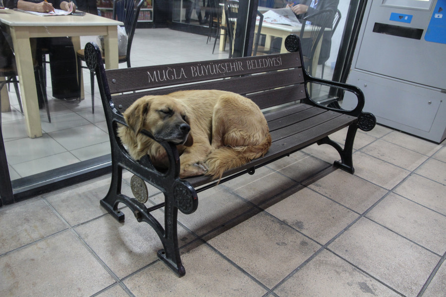 Автовокзал Datça