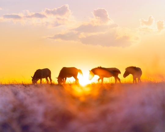 Фото Елены БЕЛОЗОРОВОЙ.