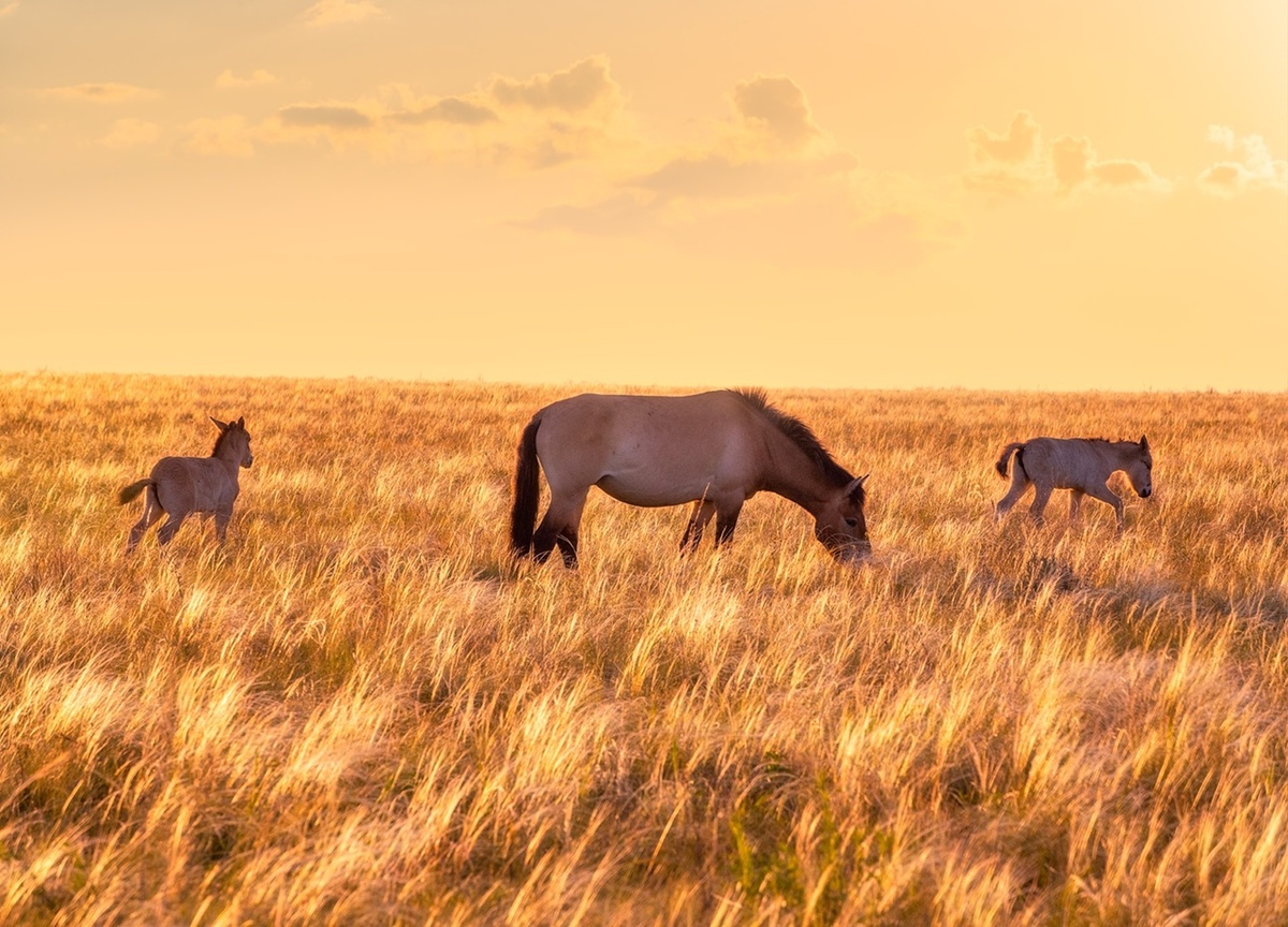 Фото Елены БЕЛОЗОРОВОЙ.