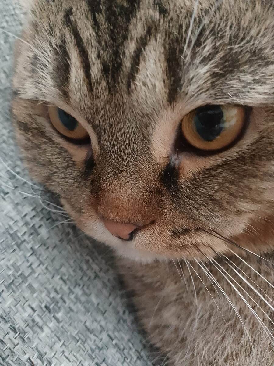 Опять страшилки. Сама боится и других пугает 