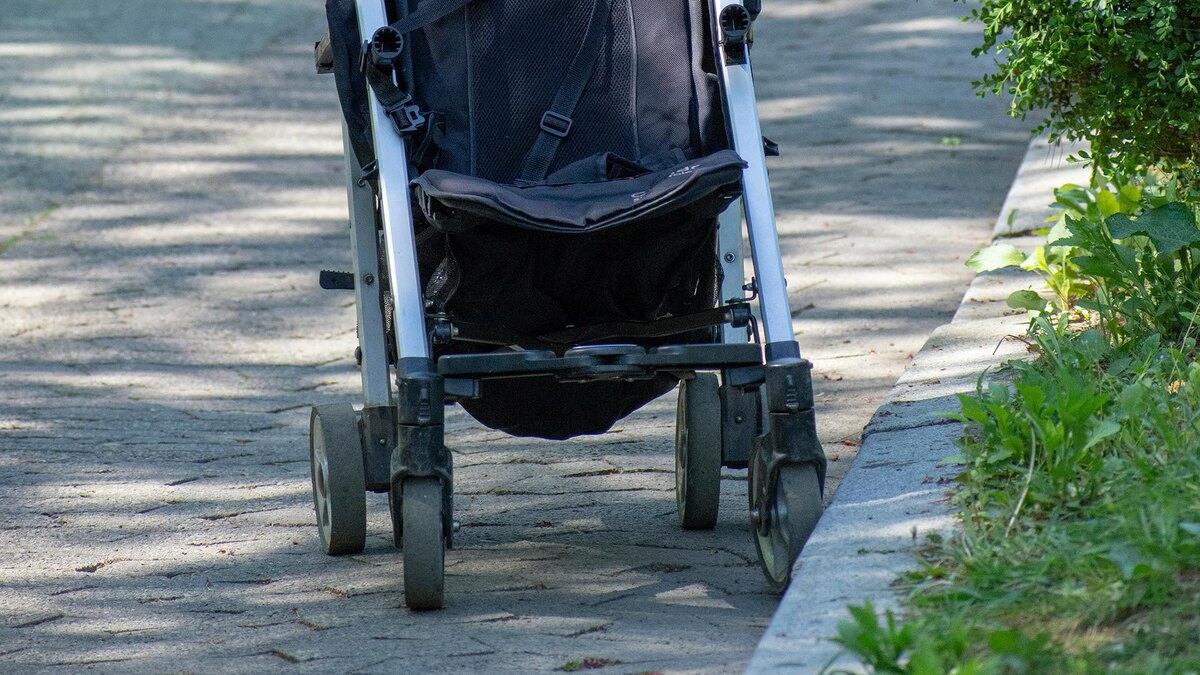    Фото: unsplash.com