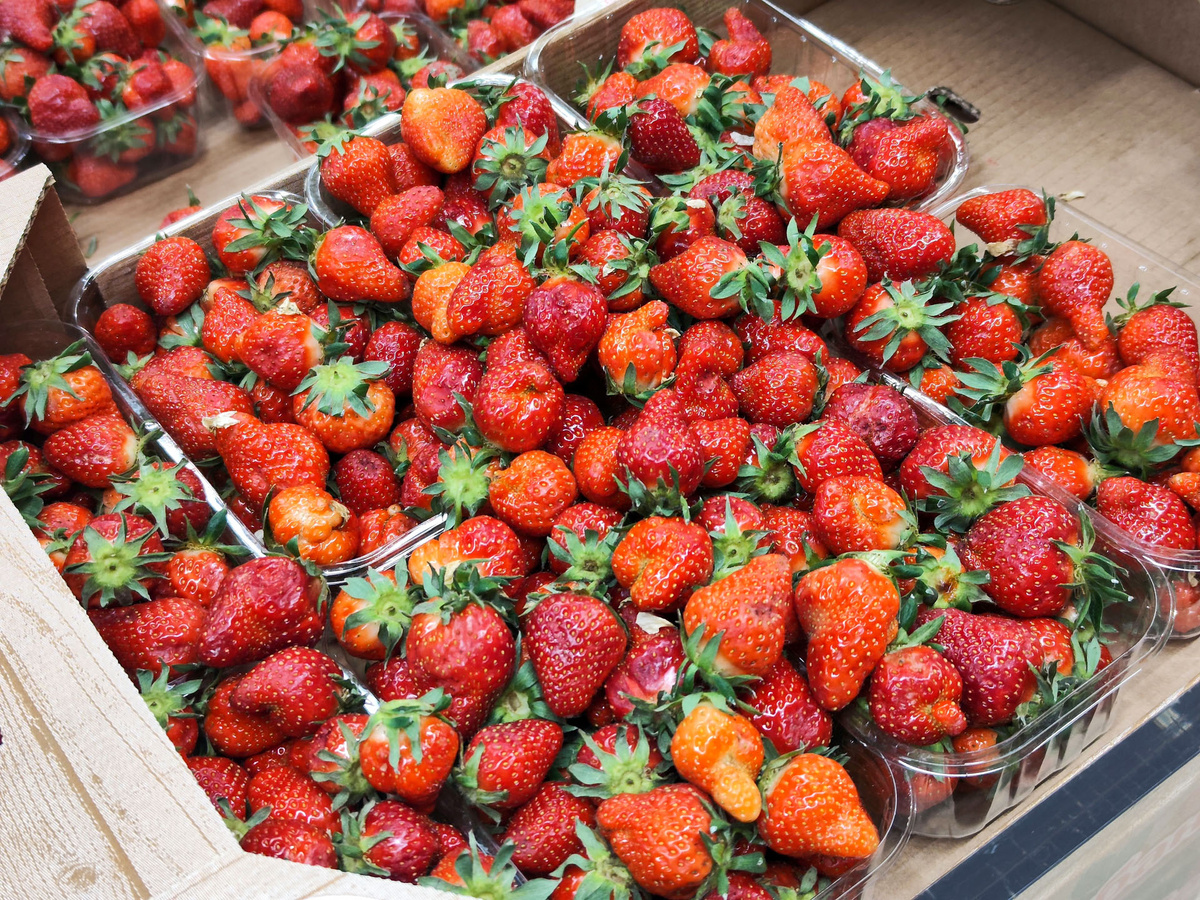 Стоимость ягоды растет из-за трудностей с логистикой и весенних заморозков.  Фото: Фото: ФедералПресс / Ксения Кобалия