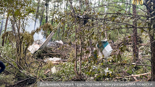     Фото: Дальневосточная транспортная прокуратура/РИА Новости   
 Текст: Татьяна Косолапова