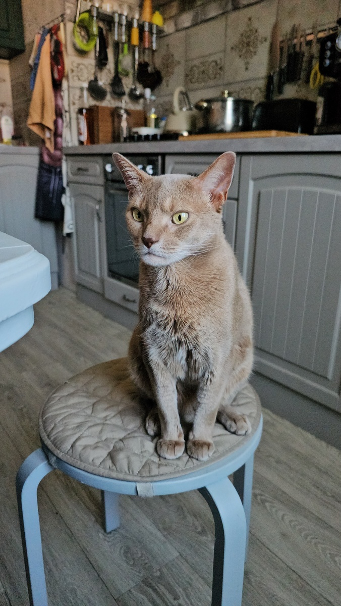 Эксперт по ранним подъёмам