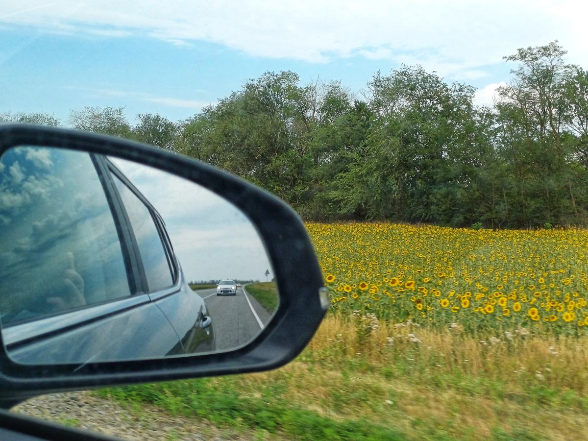 Друзья не отстают