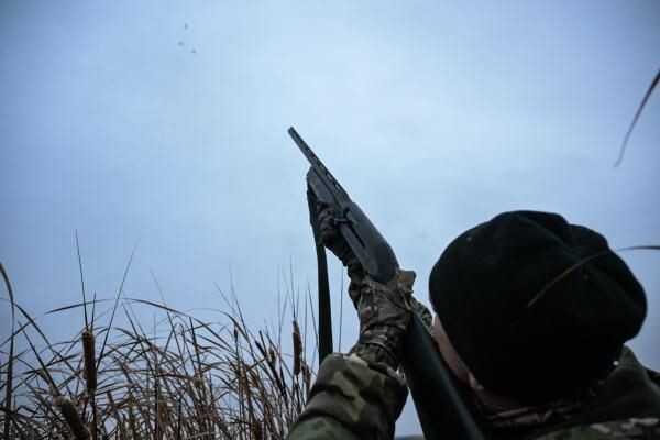    РИА «Новости»