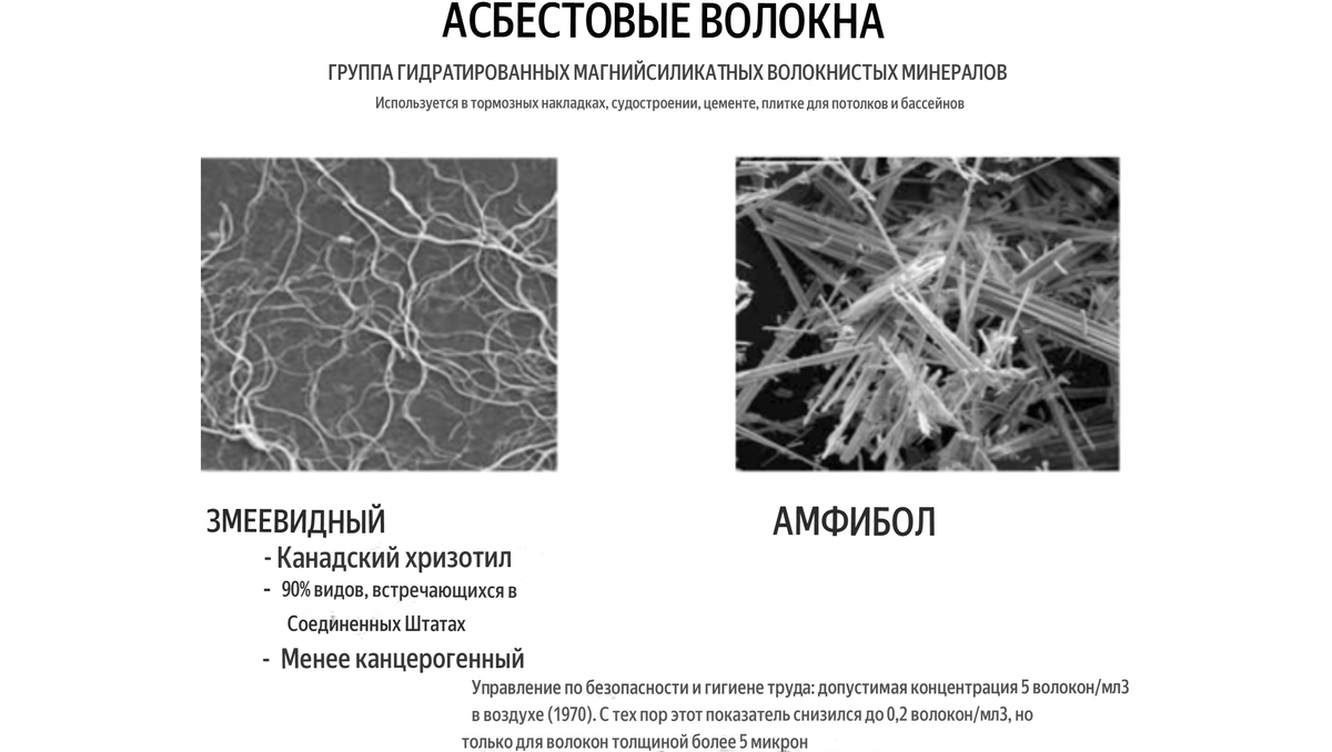 Волокна асбеста под микроскопом. Перевод с англ. Фото из иностранных источников.