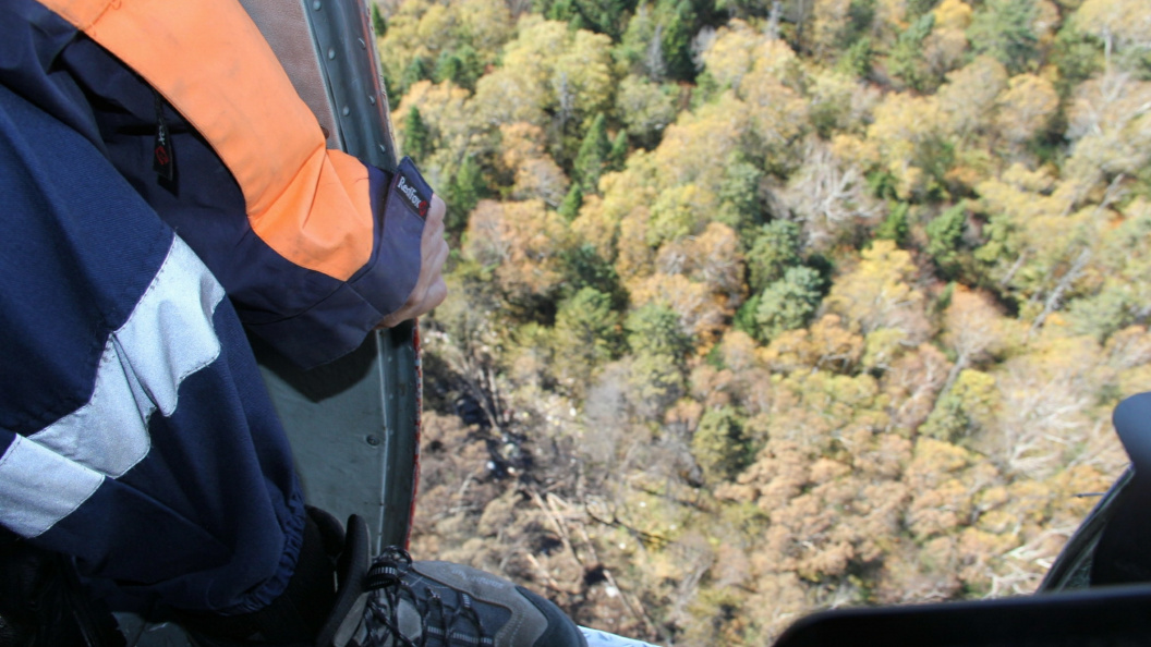    Фото: Russian Emergencies Ministry/Globallookpress