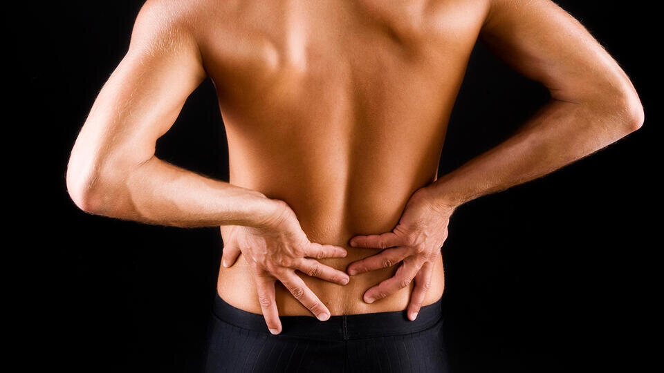 Фото: © www.globallookpress.com/Tommy Seiter/imageBROKER.com