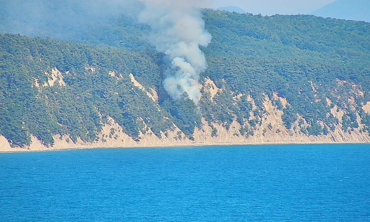    Фото t.me/krd_klpc