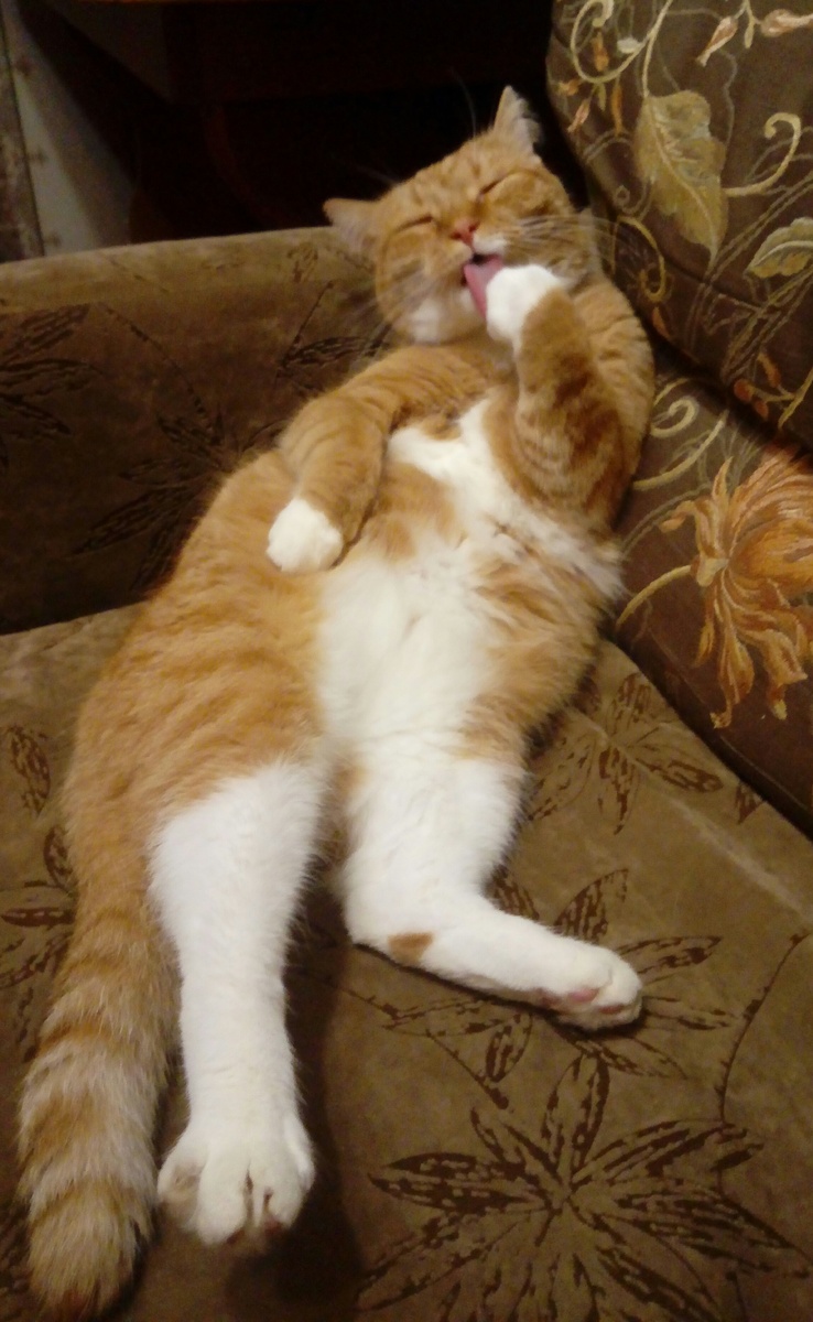 "Водные" процедуры