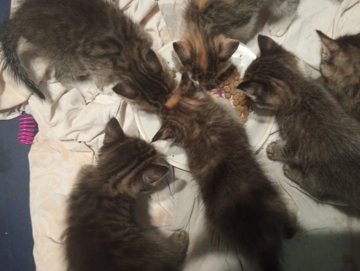 Меня не считать, я уже выбран Таней, вместе с Маруськой!