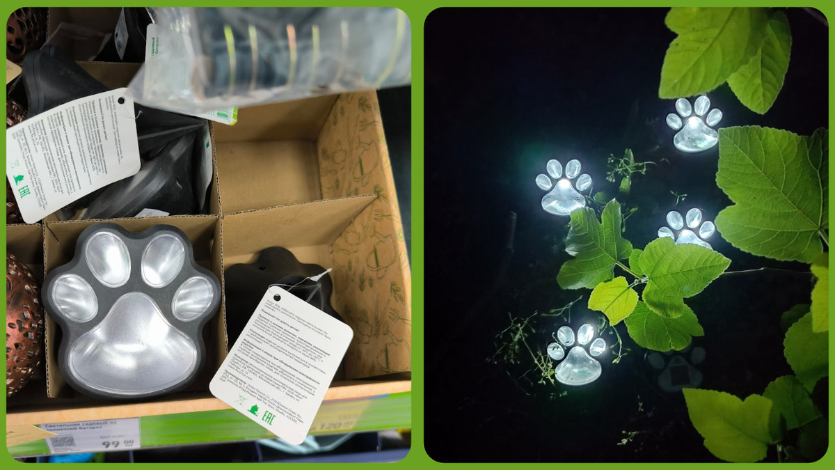 Фотография справа Вabylon Feeling
