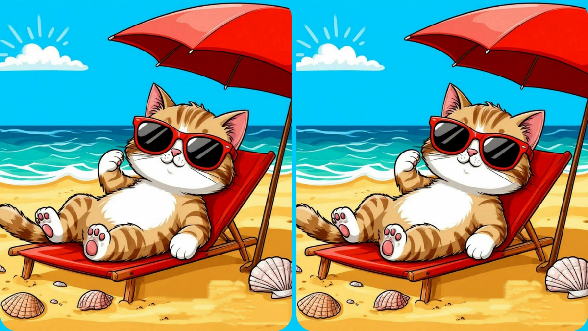 Изображение автора