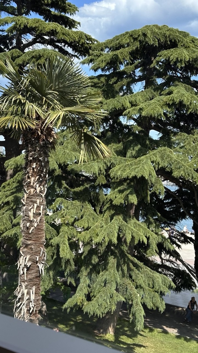 Крым прекрасен!