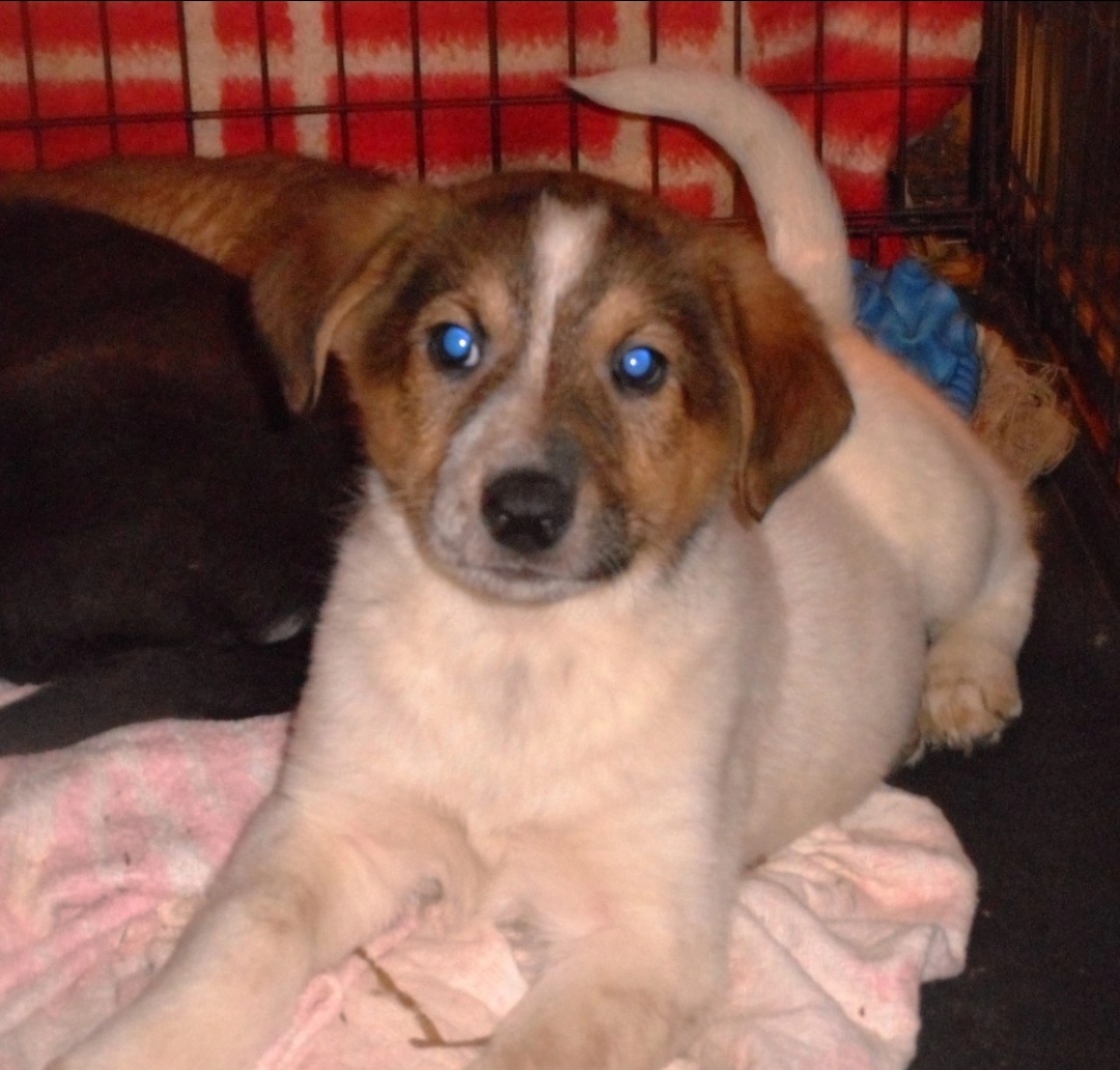 Маленькая Туся