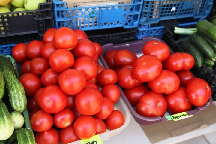    Фото: Александр Зинченко