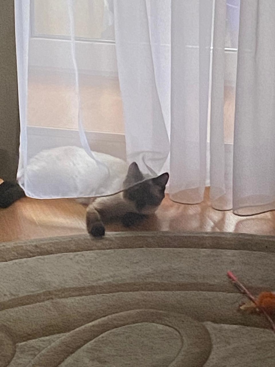 Айнуша дома