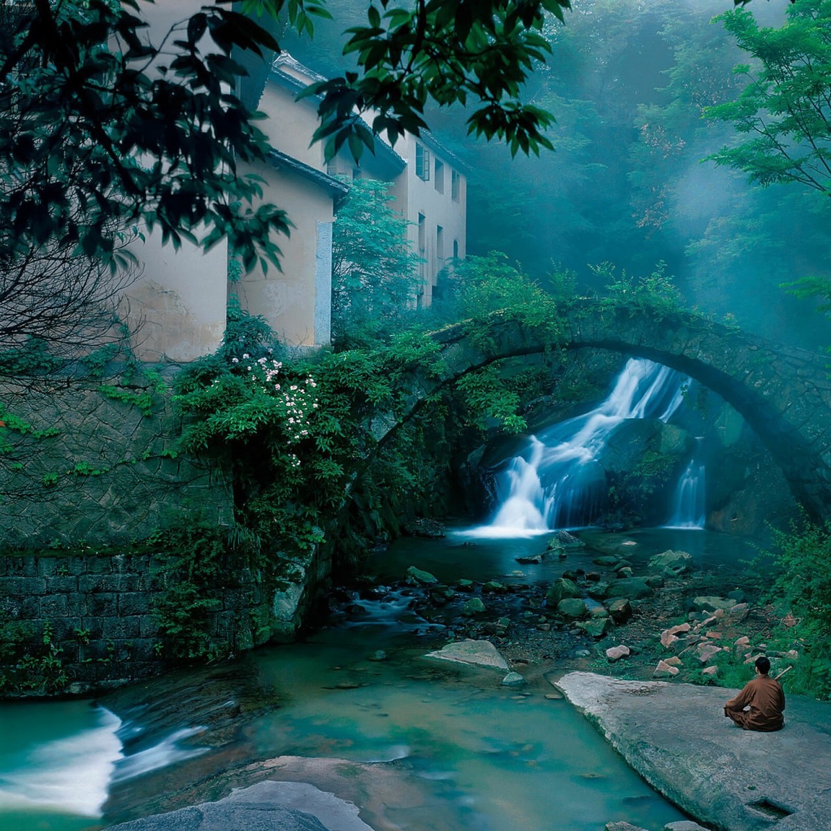 Добрый человек видит во всём красоту. Фото из открытых источников 