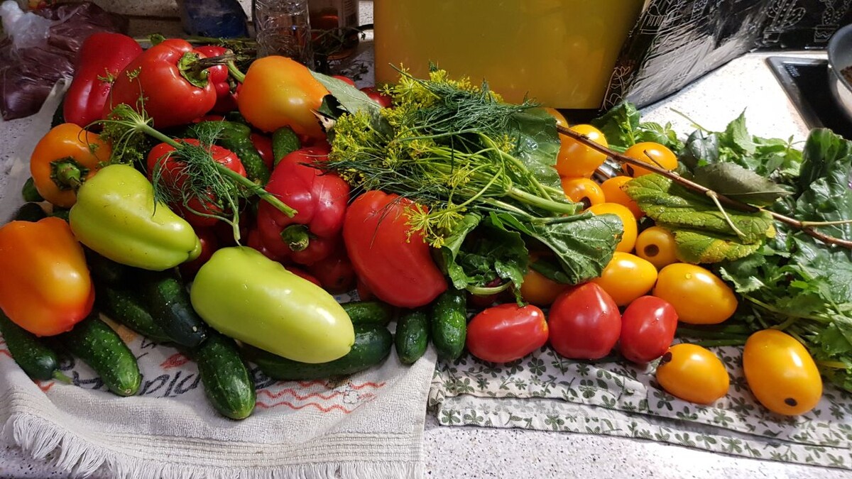 Фото автора.