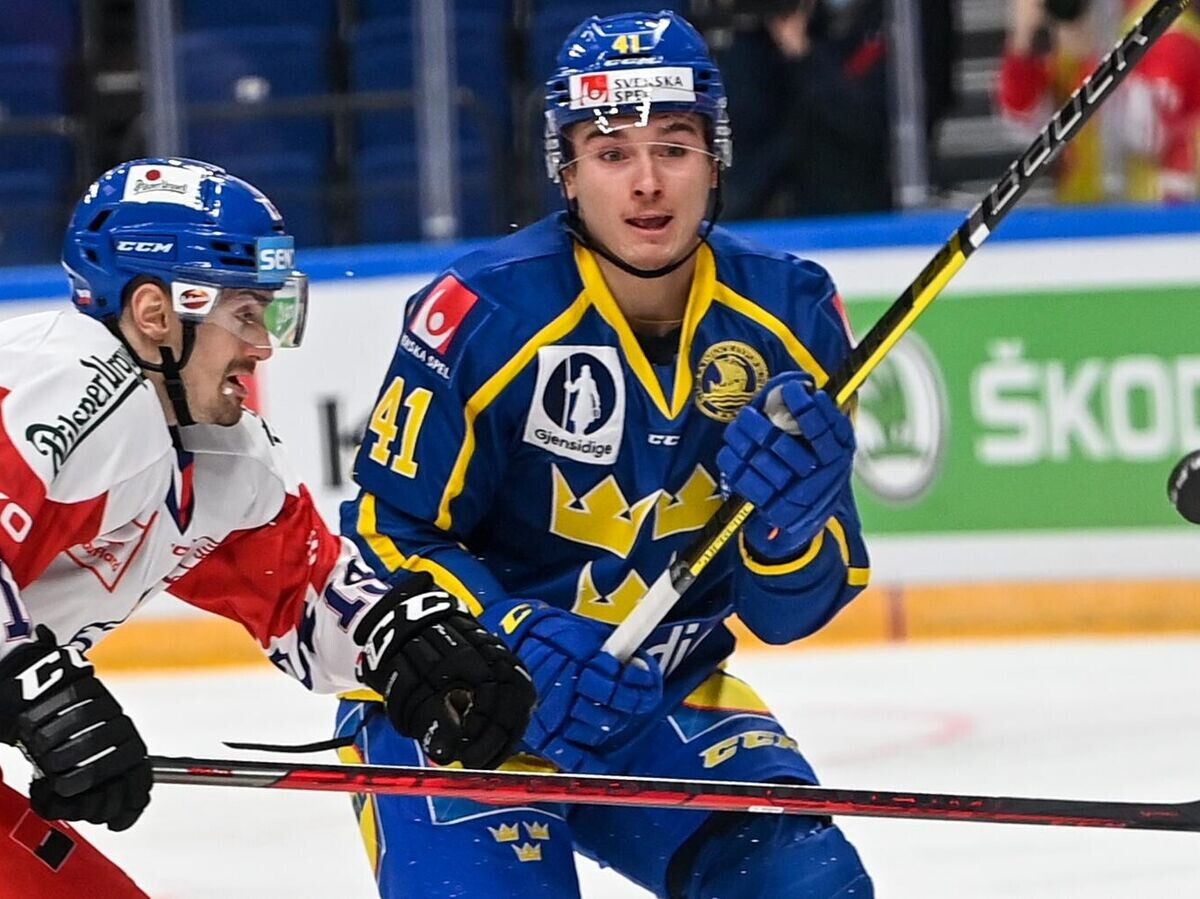    Игрок сборной Чехии Якуб Флек (слева) и игрок сборной Швеции Дмитрий Тимашов© РИА Новости / Григорий Сысоев