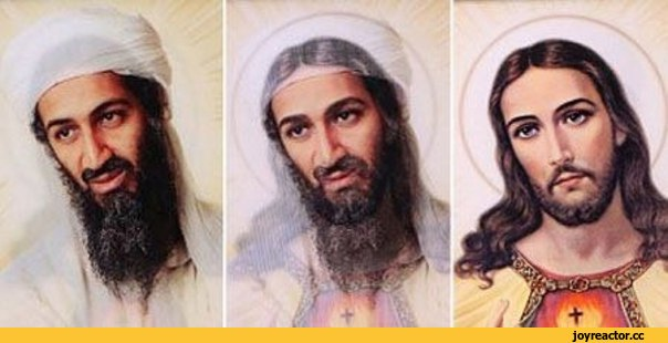 Фотография взята из источника: https://reactor.cc/new/178181