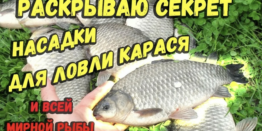 Карась на ШОК-диете: 7 безумных наживок, от которых он теряет стыд!