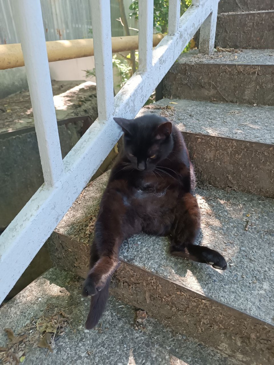 Суровый — не подходи!