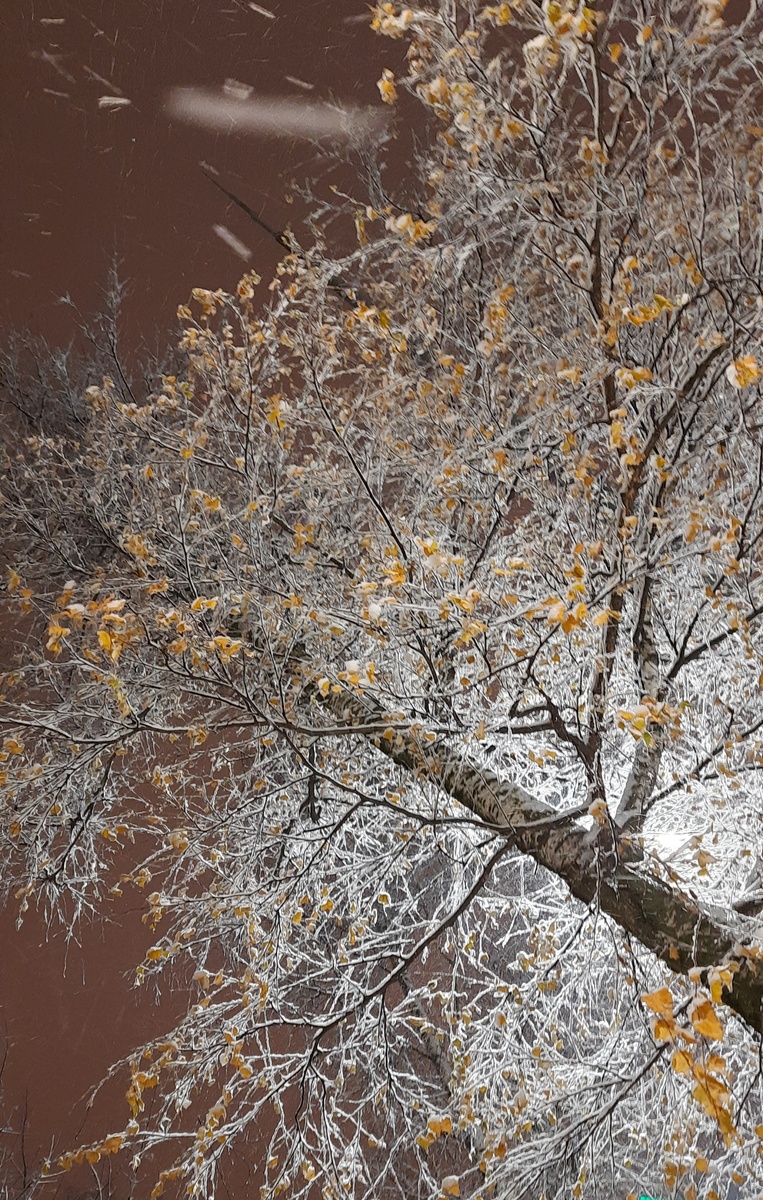 Фото автора блога.