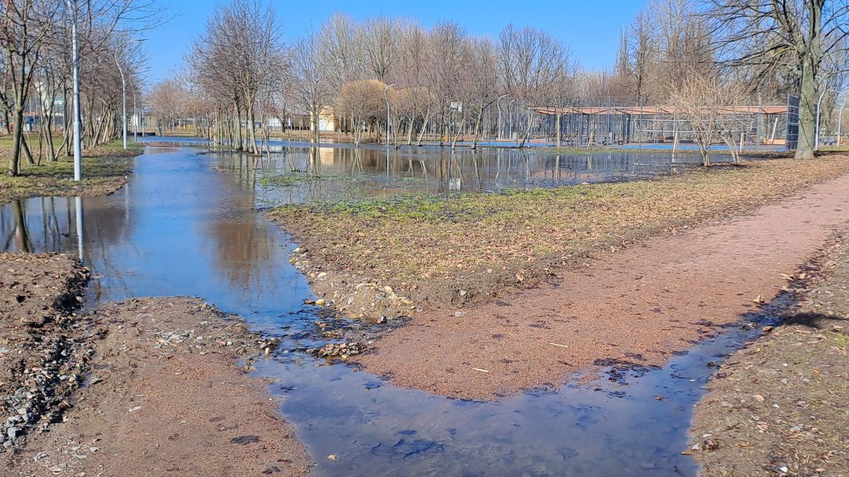   Парк Авиаторов 28 марта 2024 года. Фото: Мойка78