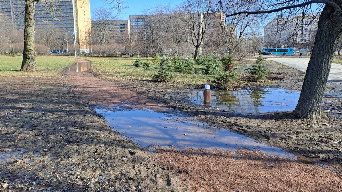    Парк Авиаторов 28 марта 2024 года. Фото: Мойка78