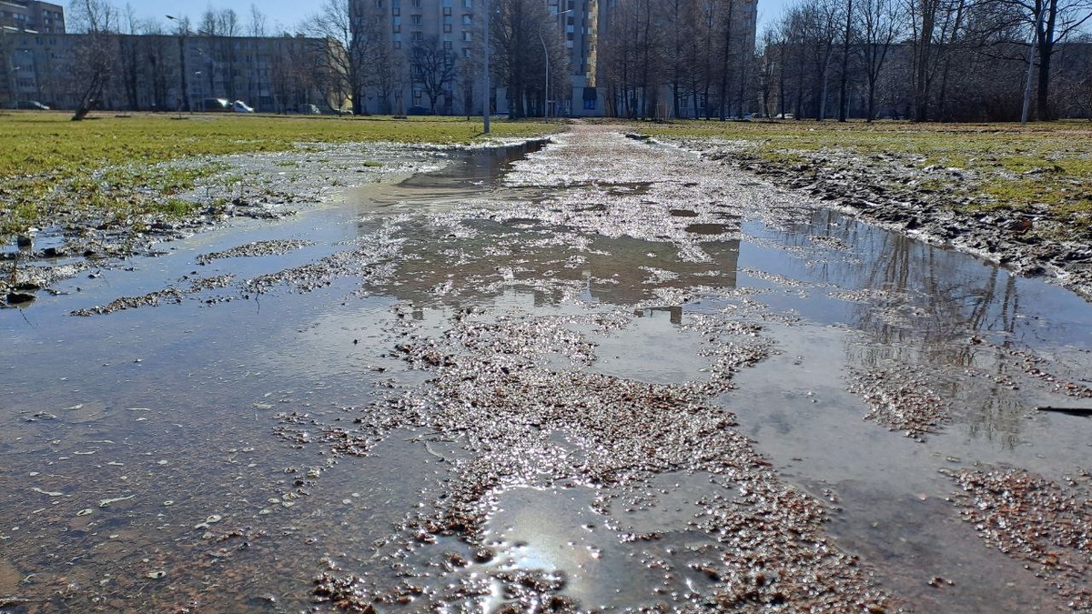    Парк Авиаторов 28 марта 2024 года. Фото: Мойка78