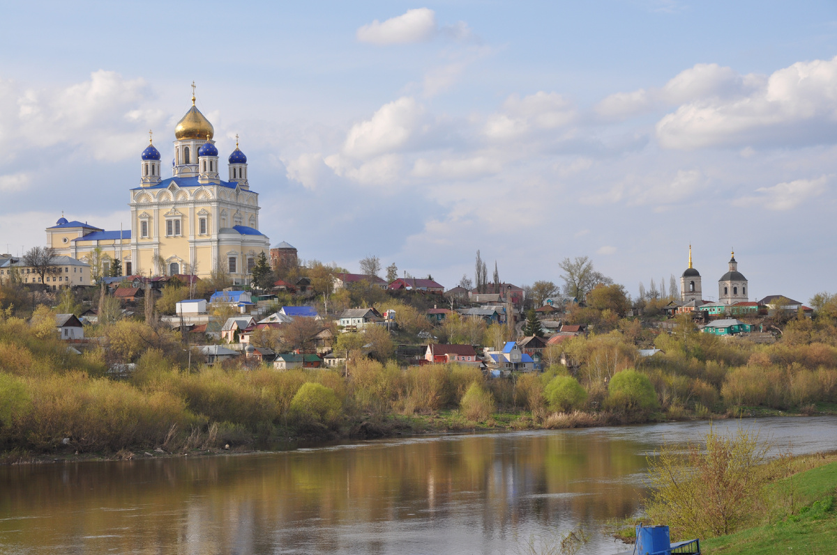 Панорама Ельца с видом на собор Вознесения Господня.