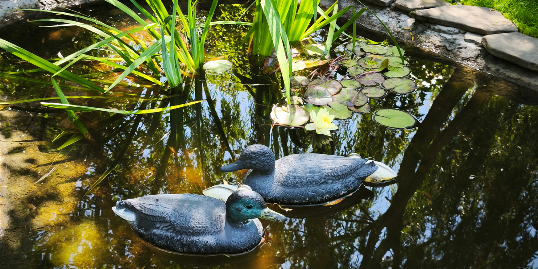 Отпуск. Йога. Не должна.