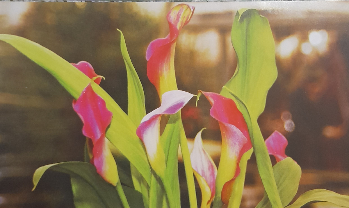 Фото автора канала