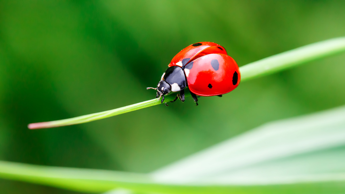 Фото с сайта: https://fischerpraxis.ch/feedbacks/