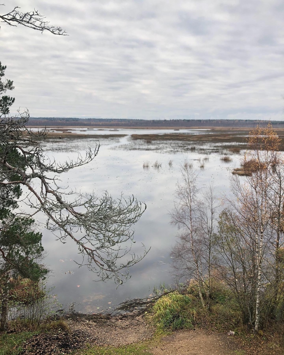 Вид с вышки.